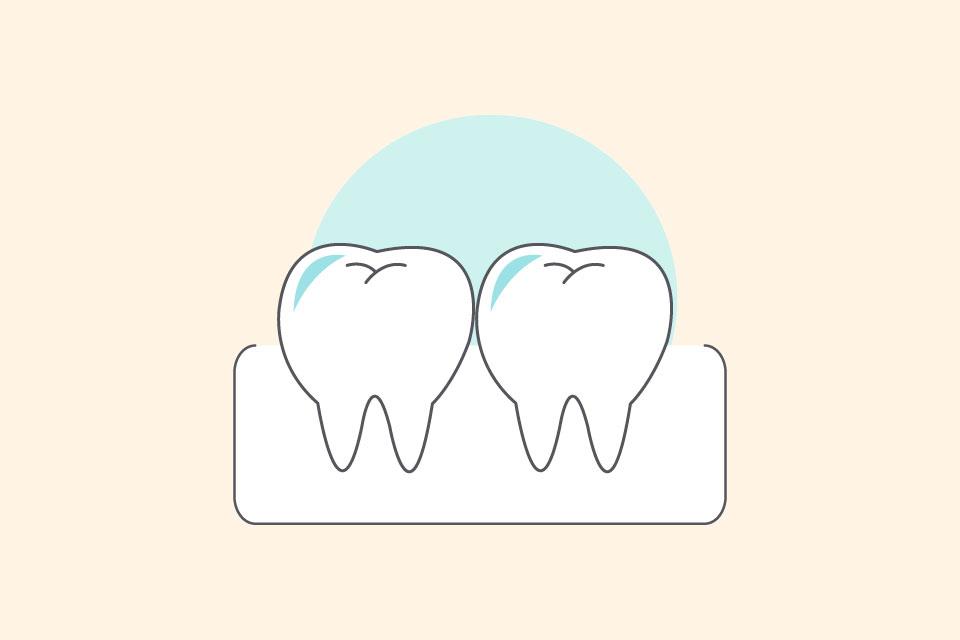 歯ぐきの健康